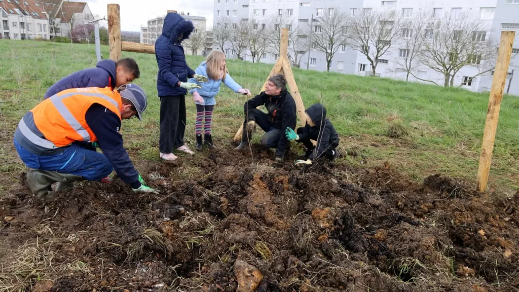 Plantation forêt urbaine